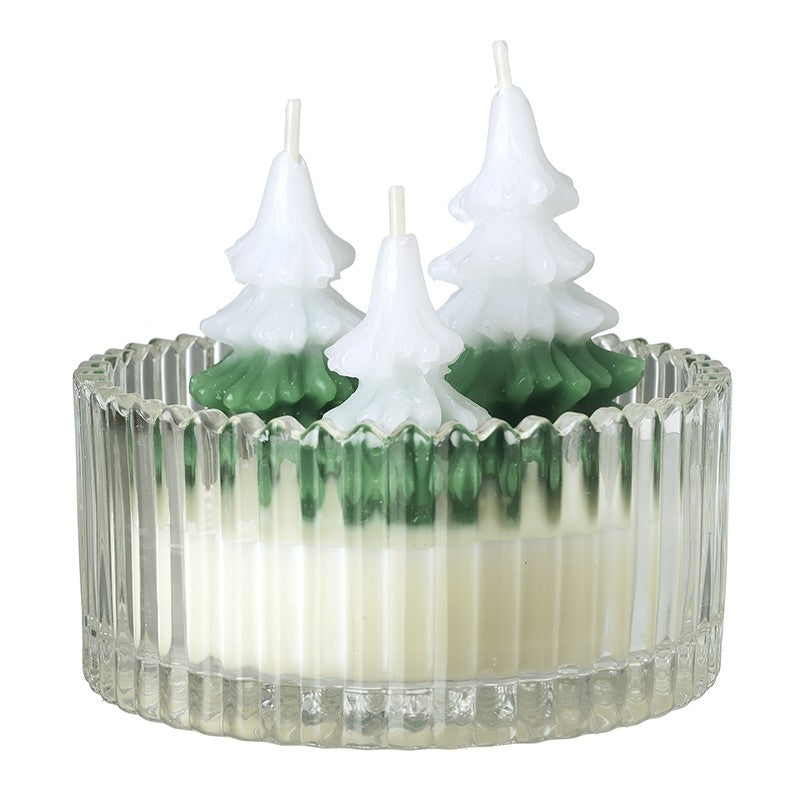 Christmas Trees Candle in Glass Pot