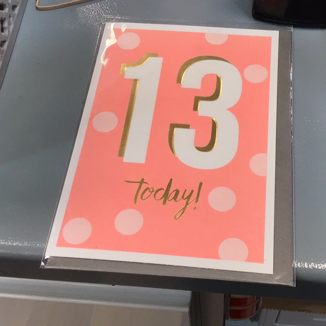 13th birthday card Paperlink