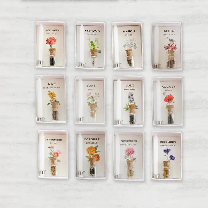 Happy Birthday Birth Seed Month Matchbox Collection - November