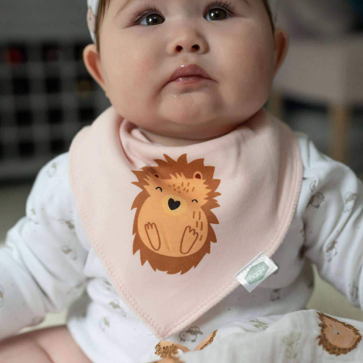 Hedgehog bib