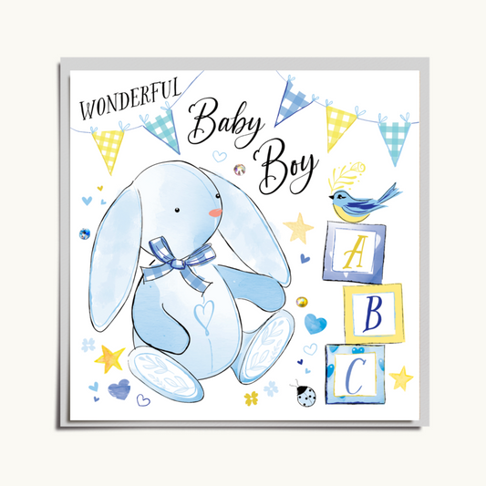 Wonderful Baby Boy