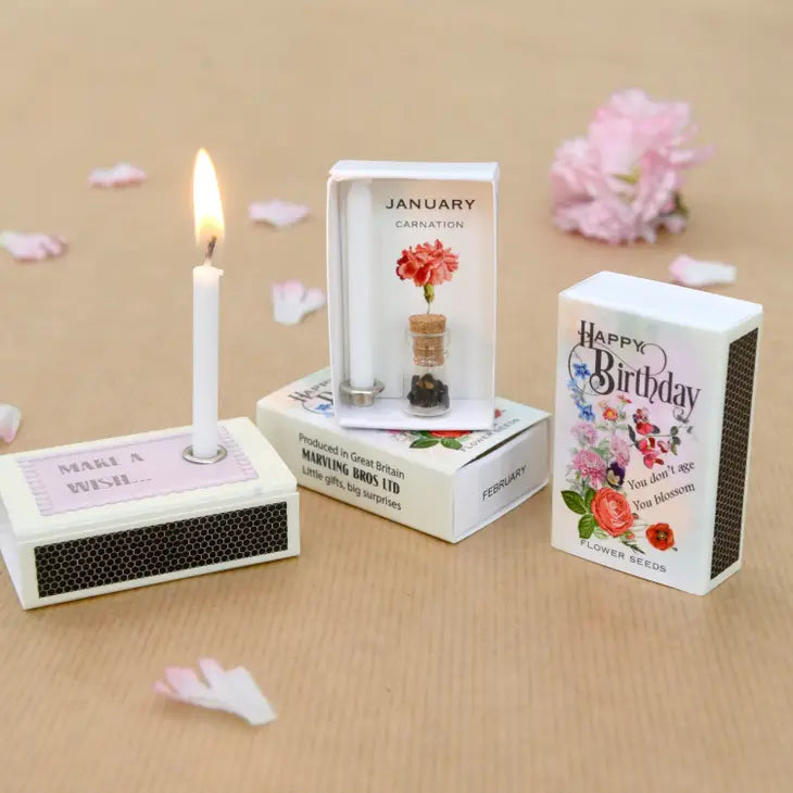 Happy Birthday Birth Seed Month Matchbox Collection - November
